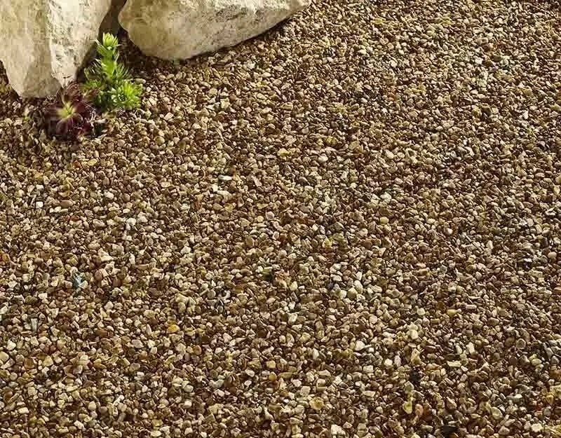 Autumn Gold Planter Chippings Pack