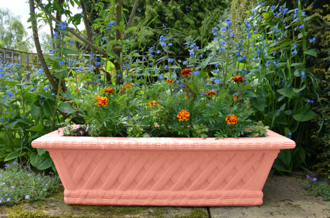 #Terracotta