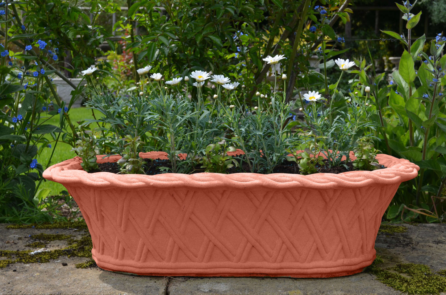 #Terracotta