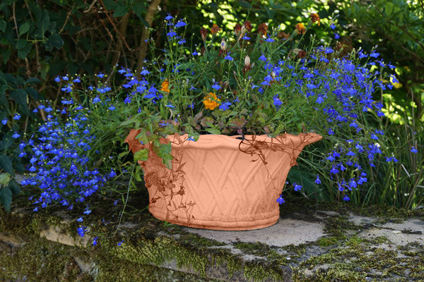 #Terracotta
