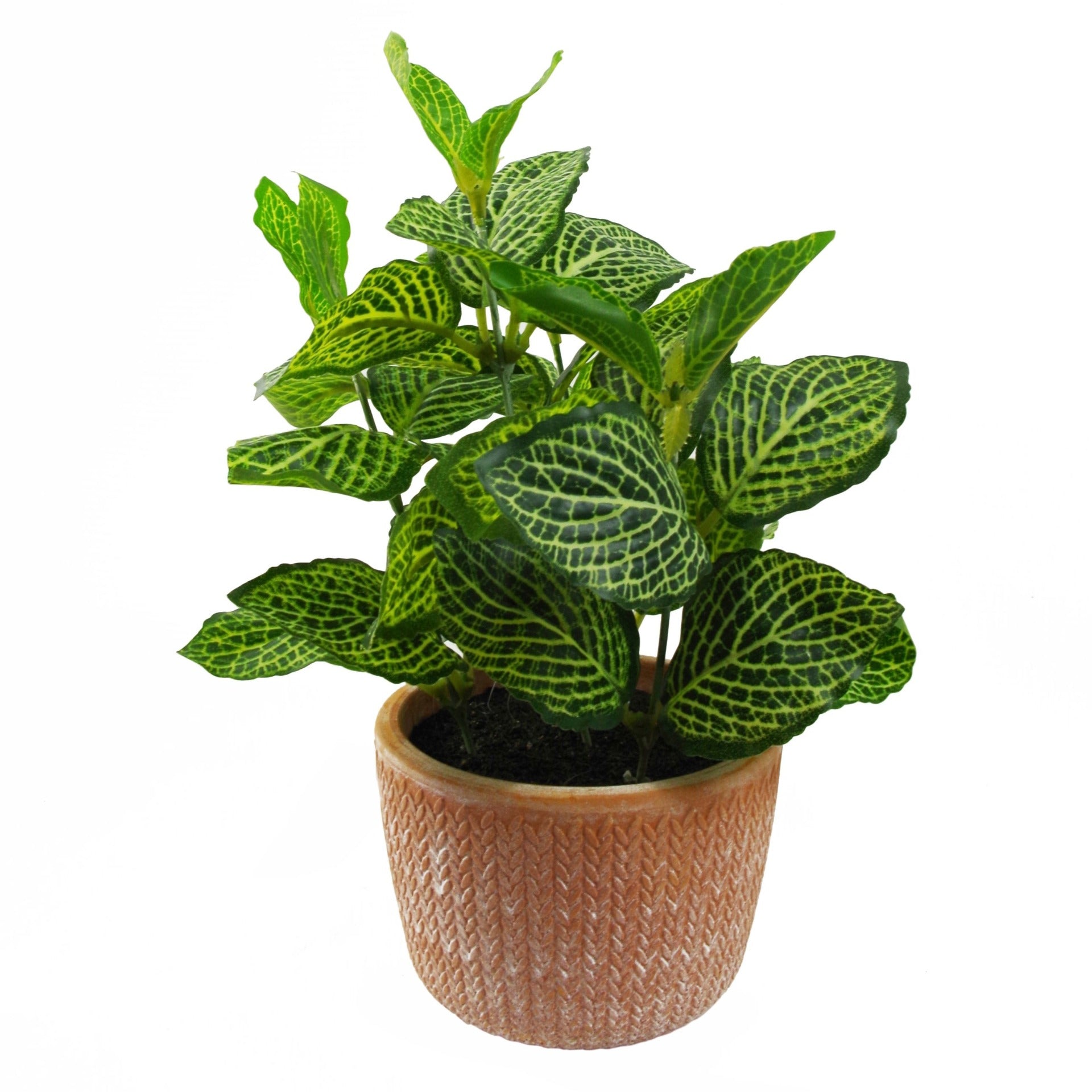 pothos in terracotta 22cm Mini Artificial Foliage Pothos in Terracotta Pot – Planters.co.uk