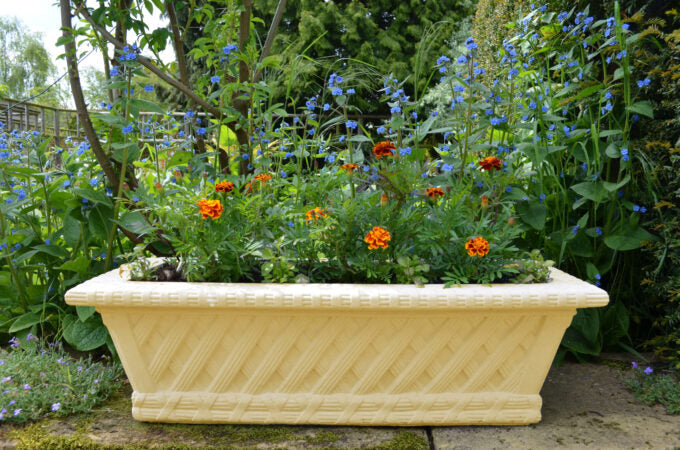 #Bathstone