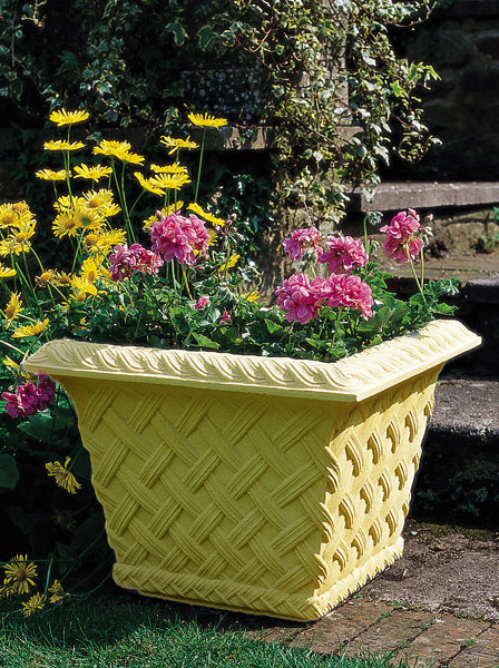 #Bathstone