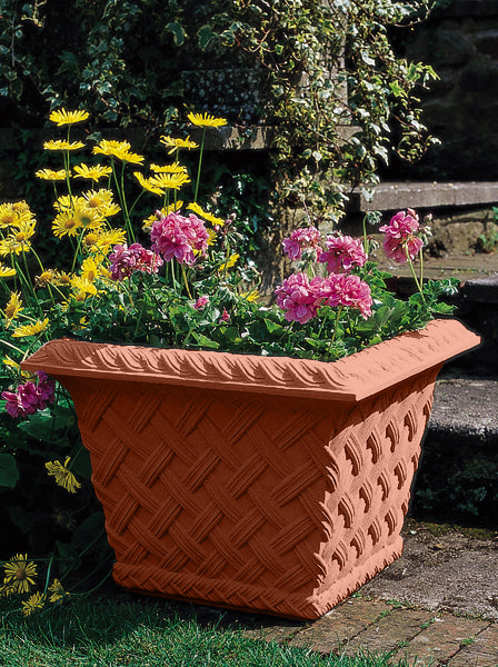 #Terracotta