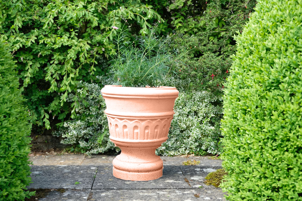 #Terracotta