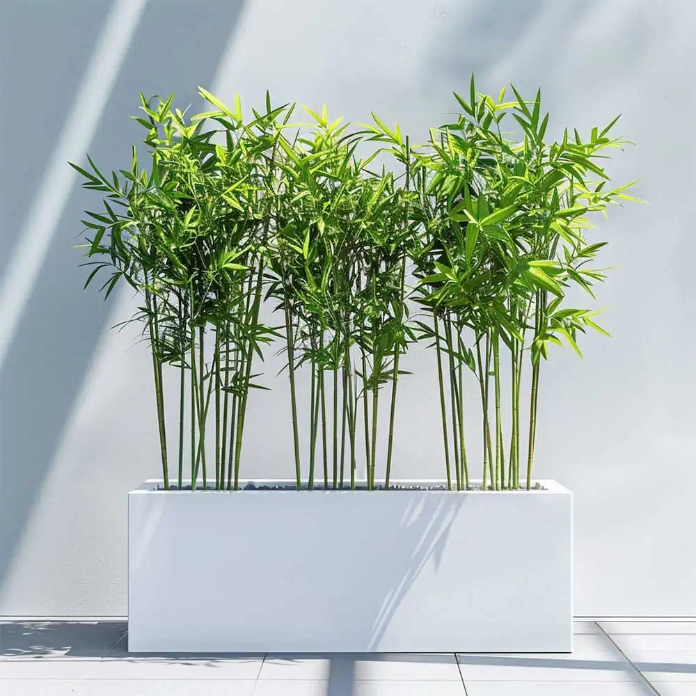 #120cm(L) x 40cm(W) x 40cm(H)
#100cm(L) x 40cm(W) x 40cm(H)
#White