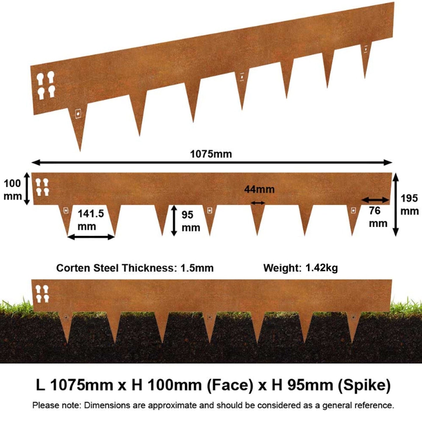 #19.5cm