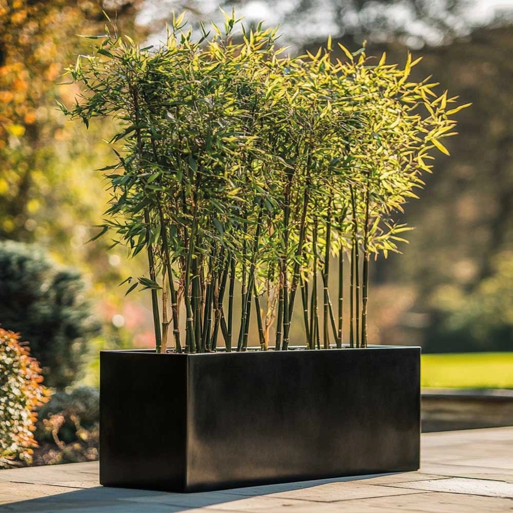 #120cm(L) x 40cm(W) x 40cm(H)
#100cm(L) x 40cm(W) x 40cm(H)
#Glossy Black
