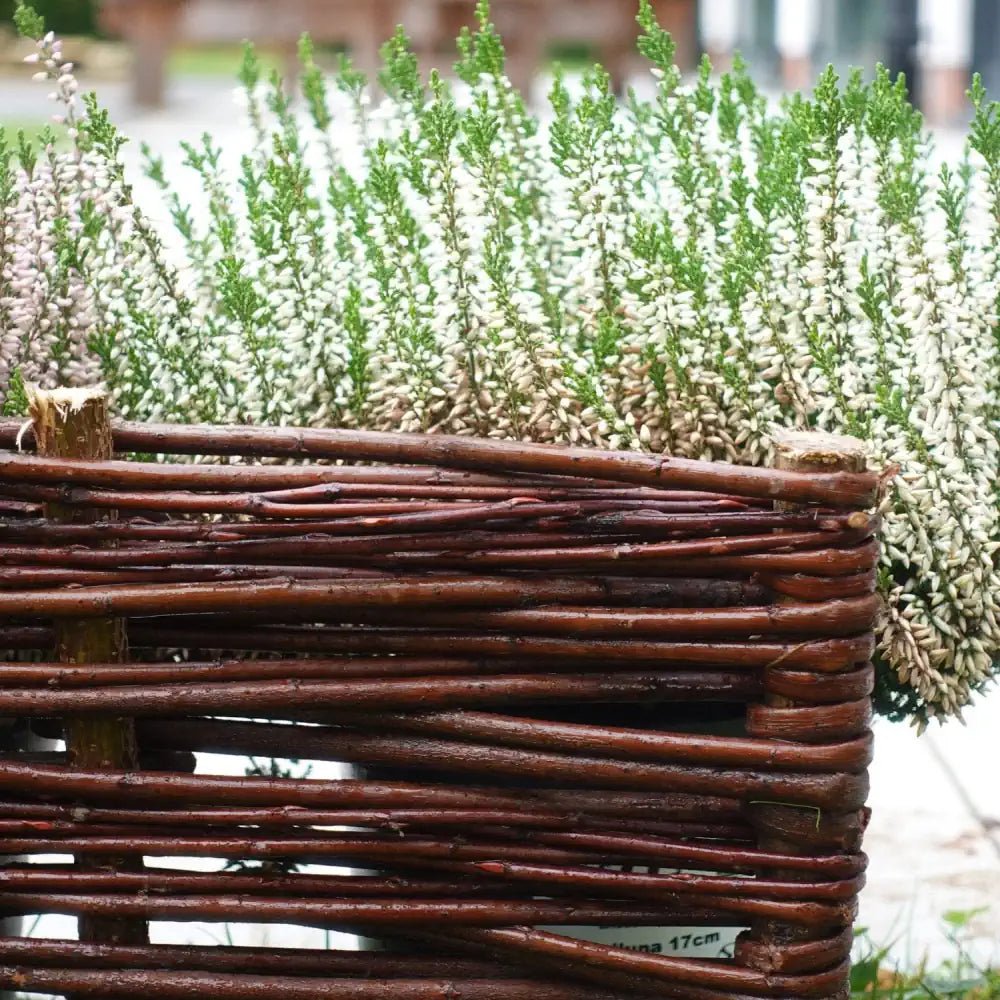 Willow Lawn Edging – 20cm Height