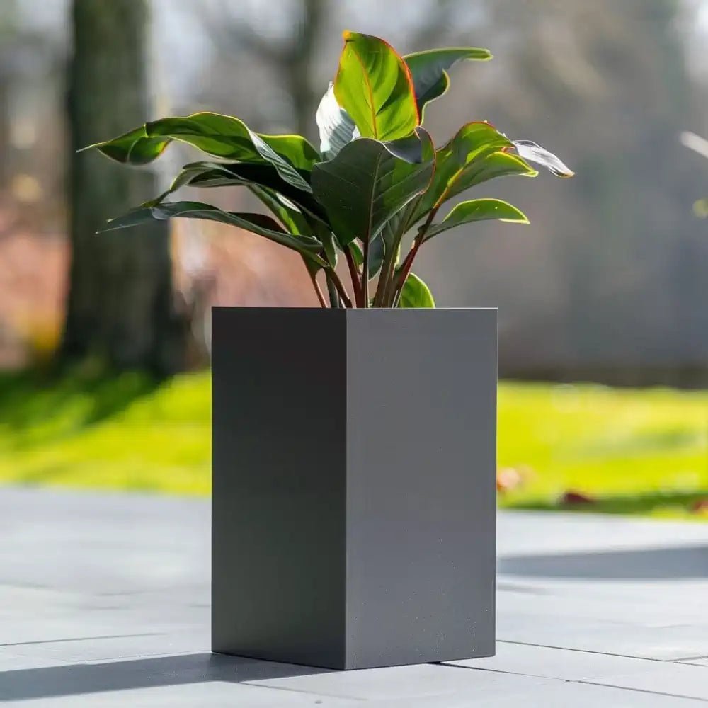 #Grey
#25cm(L) x 25cm(W) x 50cm(H)