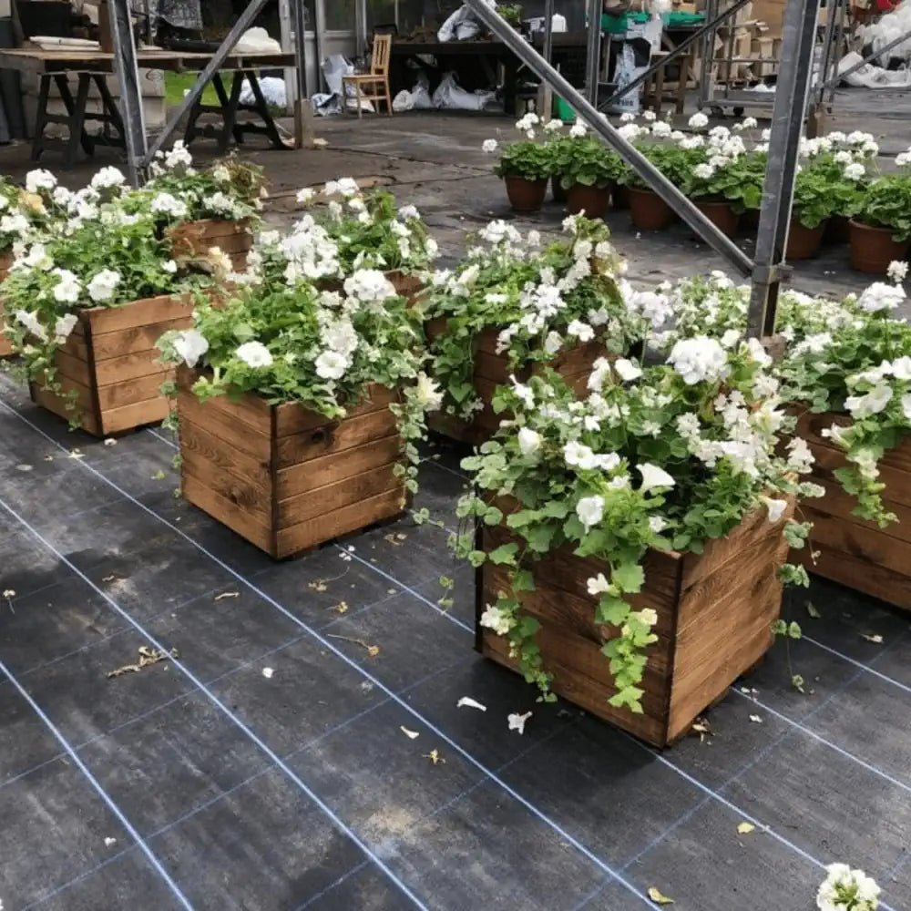 Redwood Extra Large Square Wooden Planter