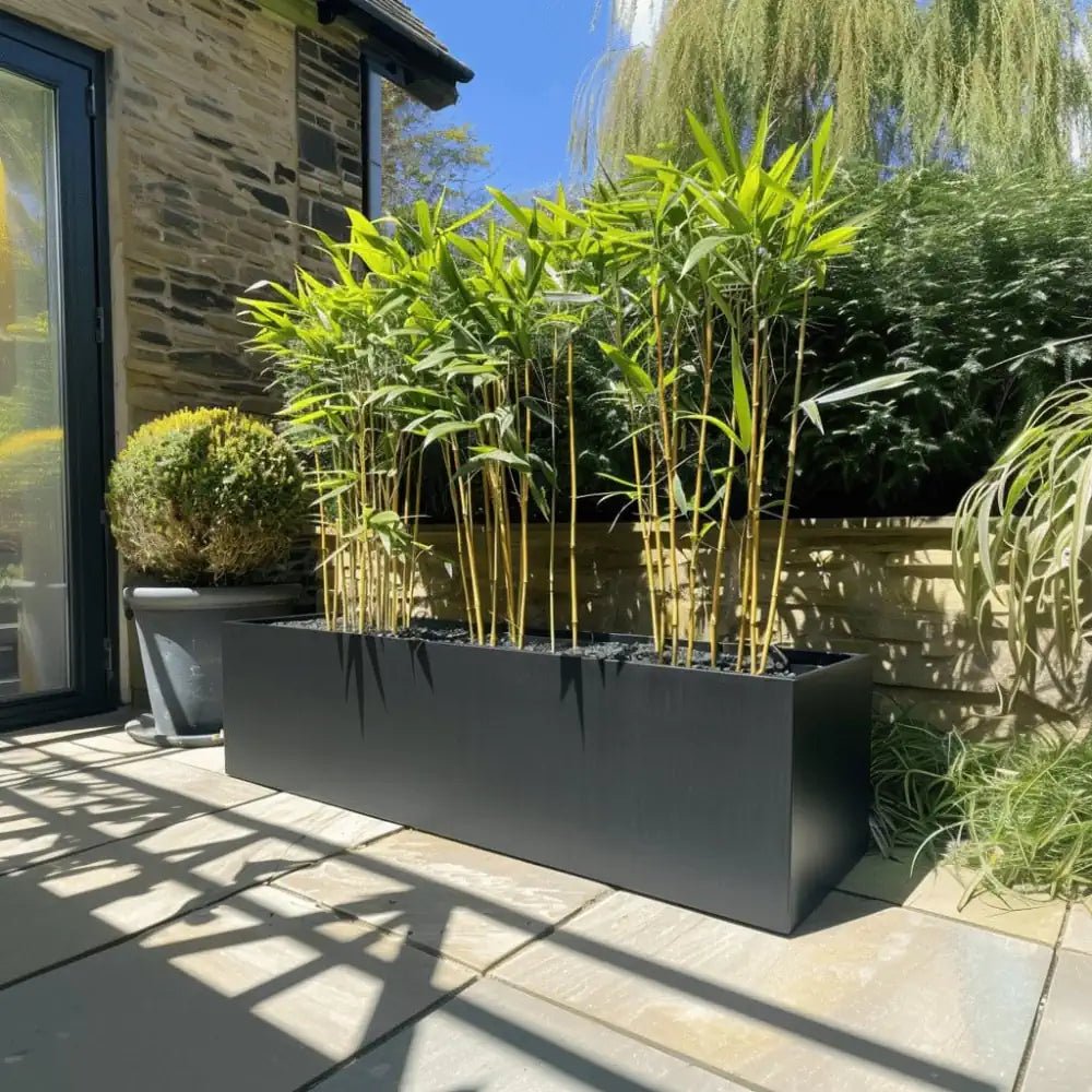 #120cm(L) x 40cm(W) x 40cm(H)
#100cm(L) x 40cm(W) x 40cm(H)
#Matte Black