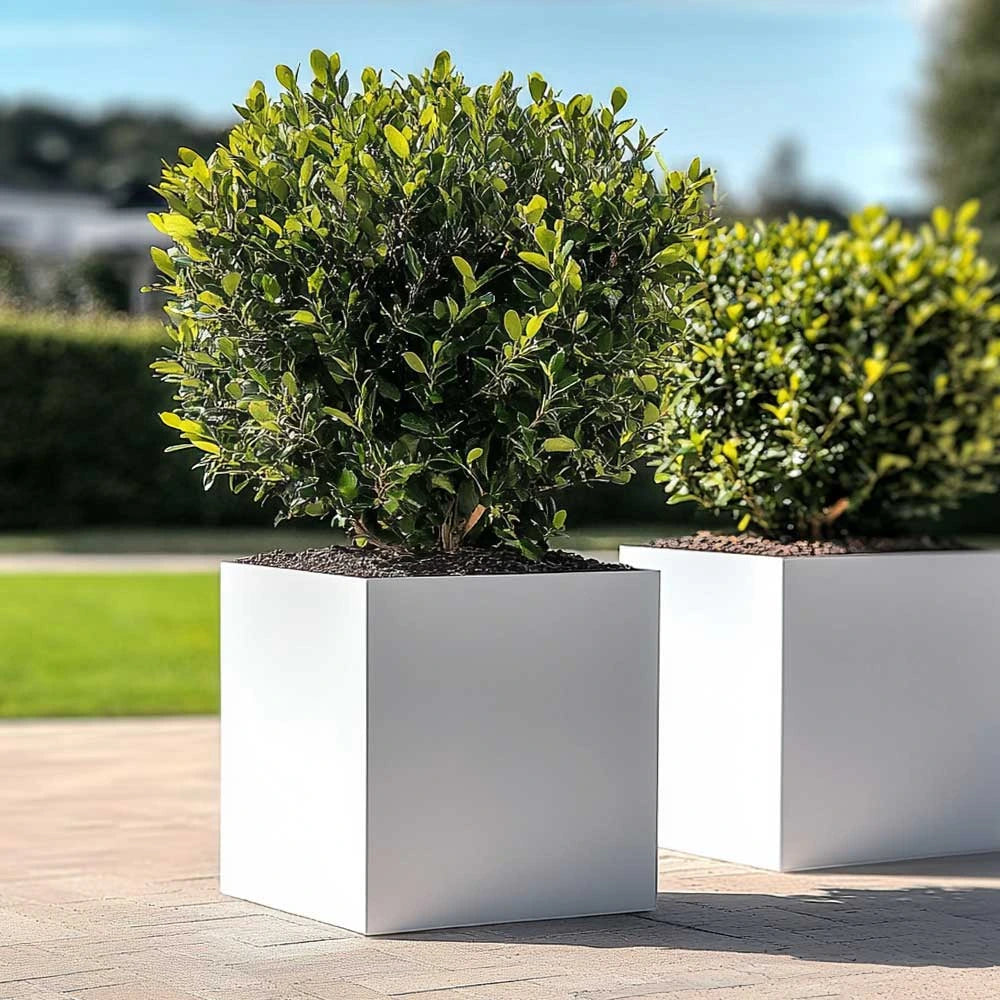 #60cm(L) x 60cm(W) x 60cm(H)
#50cm(L) x 50cm(W) x 50cm(H)
#White