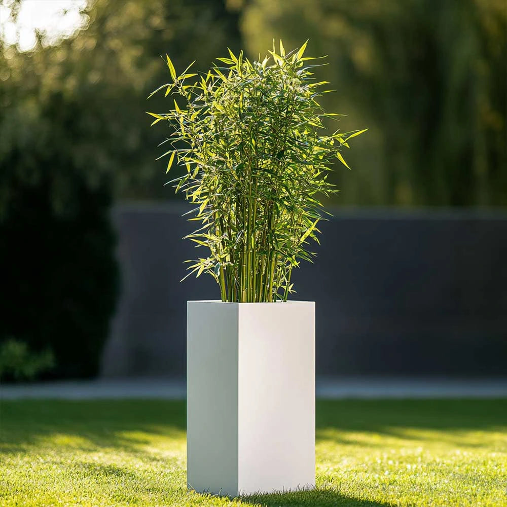 #White
#25cm(L) x 25cm(W) x 50cm(H)