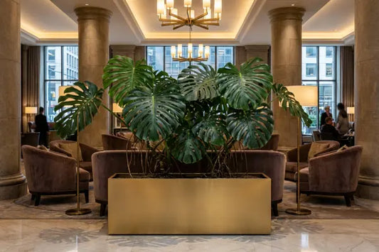 A large monstera plant in a sleek gold rectangular planter anchors an elegant lobby, surrounded by mauve velvet armchairs and brass floor lamps beneath chandeliers and tall columns