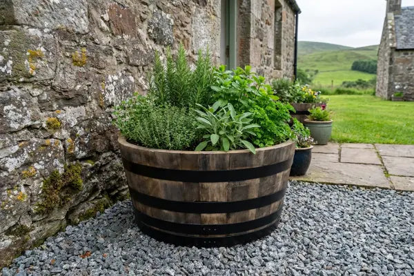A rustic wooden barrel planter overflowing with herbs—rosemary, mint, sage, parsley, and thyme—sits on gravel beside a stone cottage, with additional pots, a flagstone path, and rolling green hills in the background.