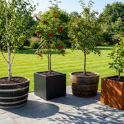 Planting Trees in Planters: A Guide from Planters.co.uk