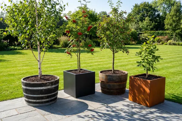 Planting Trees in Planters: A Guide from Planters.co.uk
