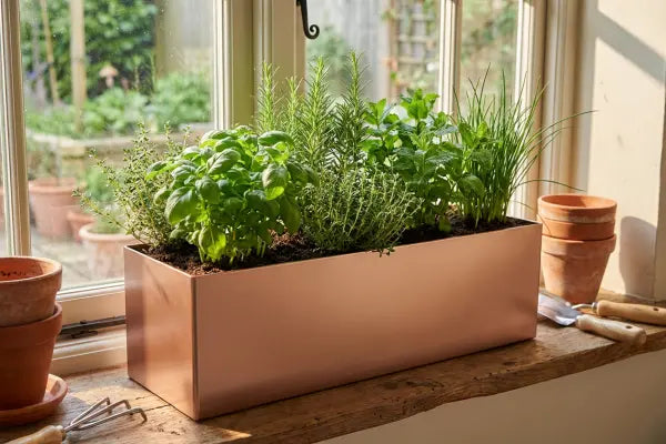 Sunlit kitchen windowsill holds a rectangular planter overflowing with herbs—basil, thyme, rosemary, mint, and chives—beside stacked terracotta pots and small gardening tools, with a blurred garden visible outside.
