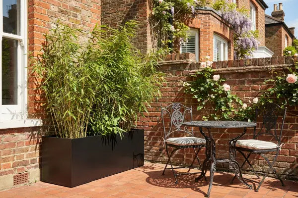 Sunlit brick patio featuring a wrought-iron bistro table with two cushioned chairs beside a large black planter of bamboo, set against a brick wall draped with pink roses and wisteria on a traditional townhouse exterior.
