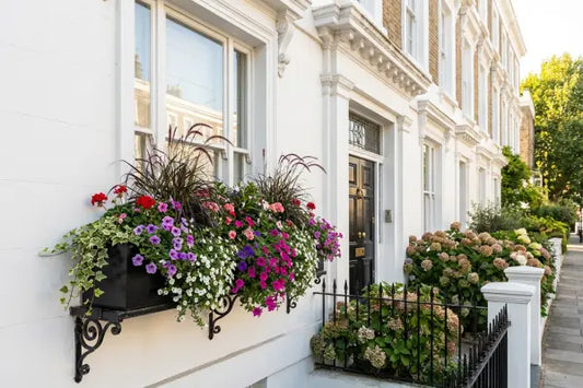 Close-up of an elegant white townhouse facade with a black front door and ornate trim, featuring a metal window box overflowing flowers.