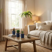 Artificial Plants: The Low-Maintenance Way to Add Greenery