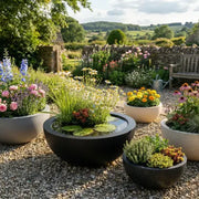 Collection of bowl planters on gravel in a garden