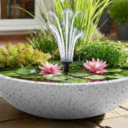 A Guide to Pond Plants: Creating a Healthy and Beautiful Garden Pond