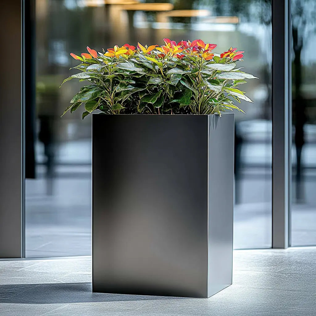 What to Consider When Bringing Planters Indoors