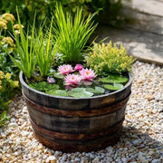 A half barrel pond in a pot