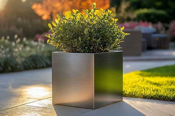 Making Use of Square Planters