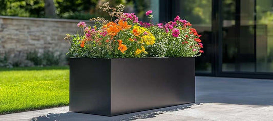Benefits of Huge Planters