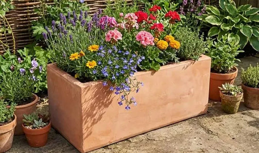 Trough terracotta planter on patio.