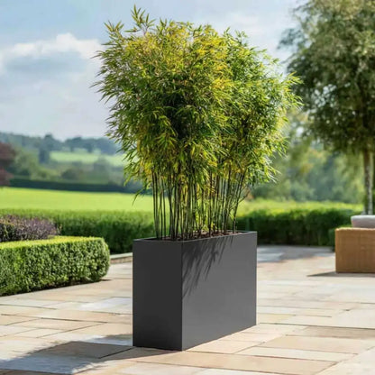 #100cm(L) x 35cm(W) x 80cm(H)
#90cm(L) x 30cm(W) x 60cm(H)
#80cm(L) x 25cm(W) x 60cm(H)
#grey