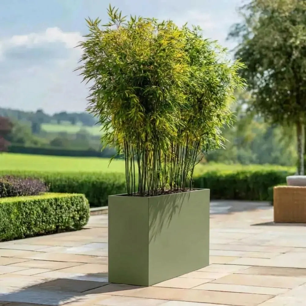 #Green
#90cm(L) x 30cm(W) x 60cm(H)
#80cm(L) x 25cm(W) x 60cm(H)