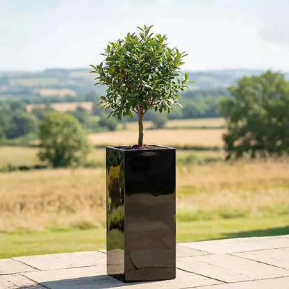 #40cm(L) x 40cm(W) x 100cm(H)
#glossy black