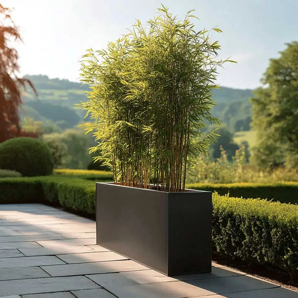 #100cm(L) x 35cm(W) x 80cm(H)
#black