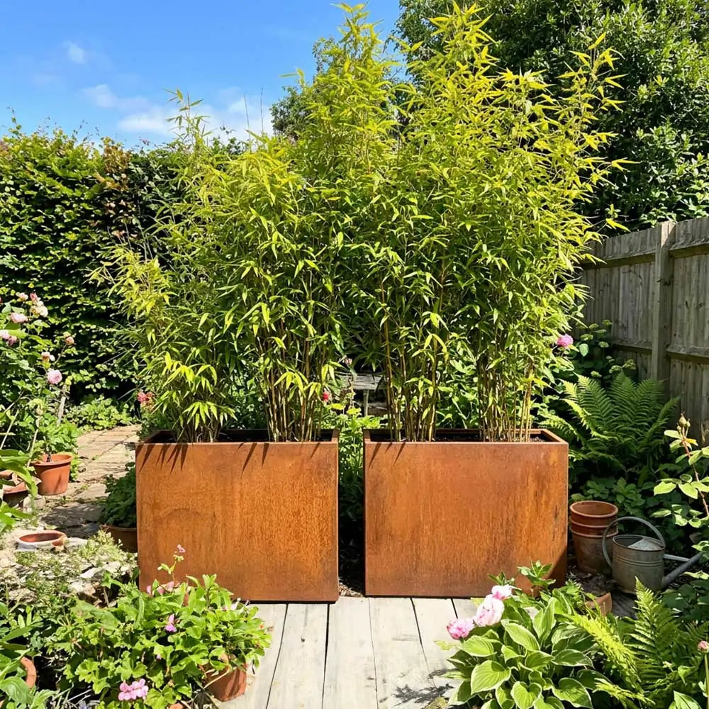 Pre Rusted Planters Pre-Rusted Corten Steel Straight Edge Tall Trough Planter with Feet ...