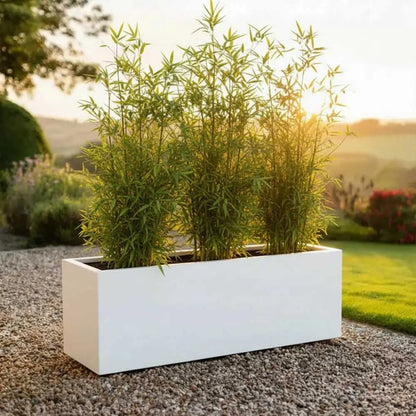 #White
#120cm(L) x 40cm(W) x 40cm(H)
#100cm(L) x 40cm(W) x 40cm(H)
#With Liner
#No Liner