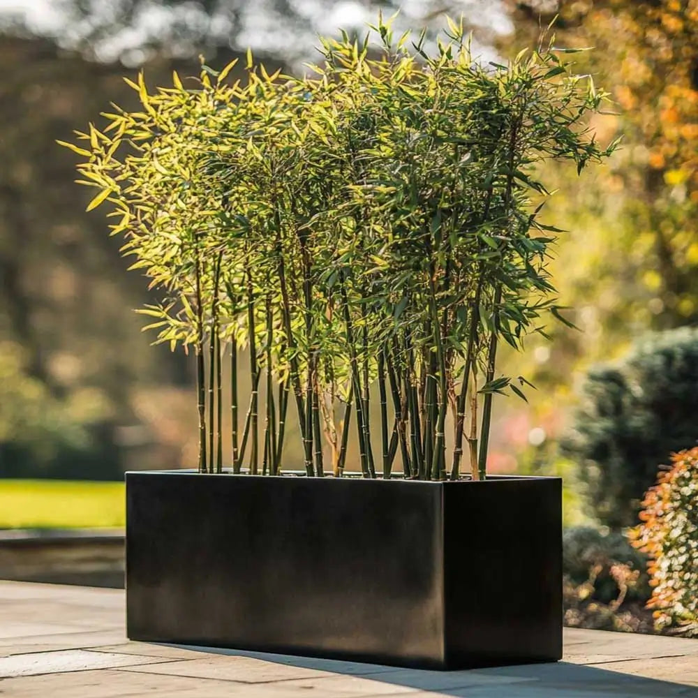 #Glossy Black
#120cm(L) x 40cm(W) x 40cm(H)
#100cm(L) x 40cm(W) x 40cm(H)
#With Liner
#No Liner