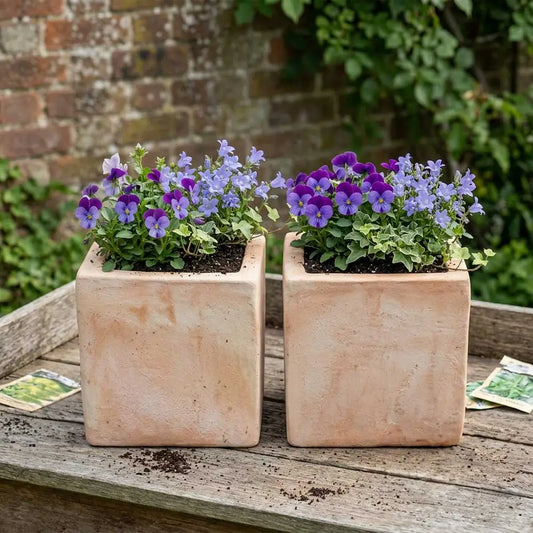 #12cm(L) x 12cm(W) x 12cm(H)