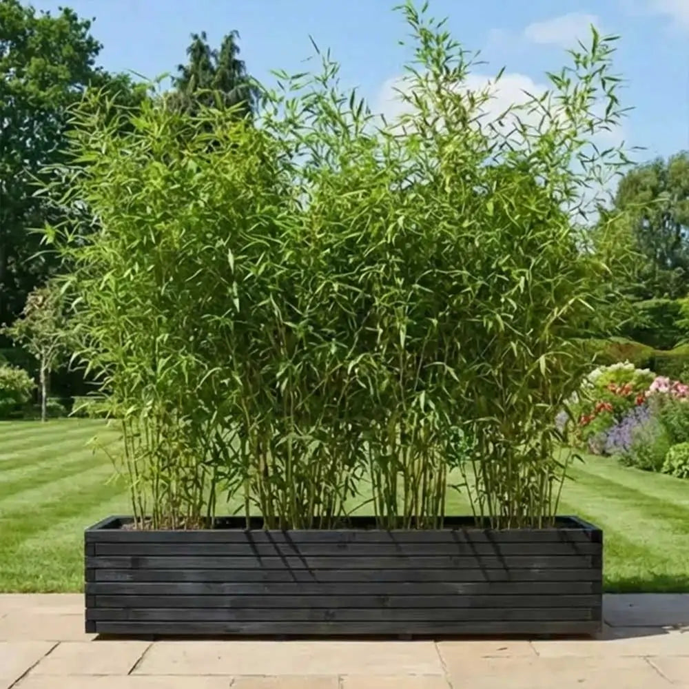 #black
#300cm(L) x 40cm(W) x 40cm(H)
#200cm(L) x 40cm(W) x 40cm(H)
#With Liner
#No Liner