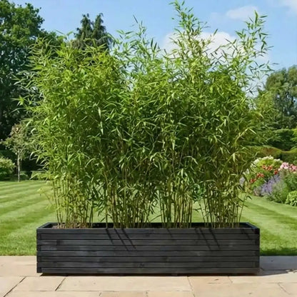 #black
#300cm(L) x 40cm(W) x 40cm(H)
#200cm(L) x 40cm(W) x 40cm(H)
#With Liner
#No Liner