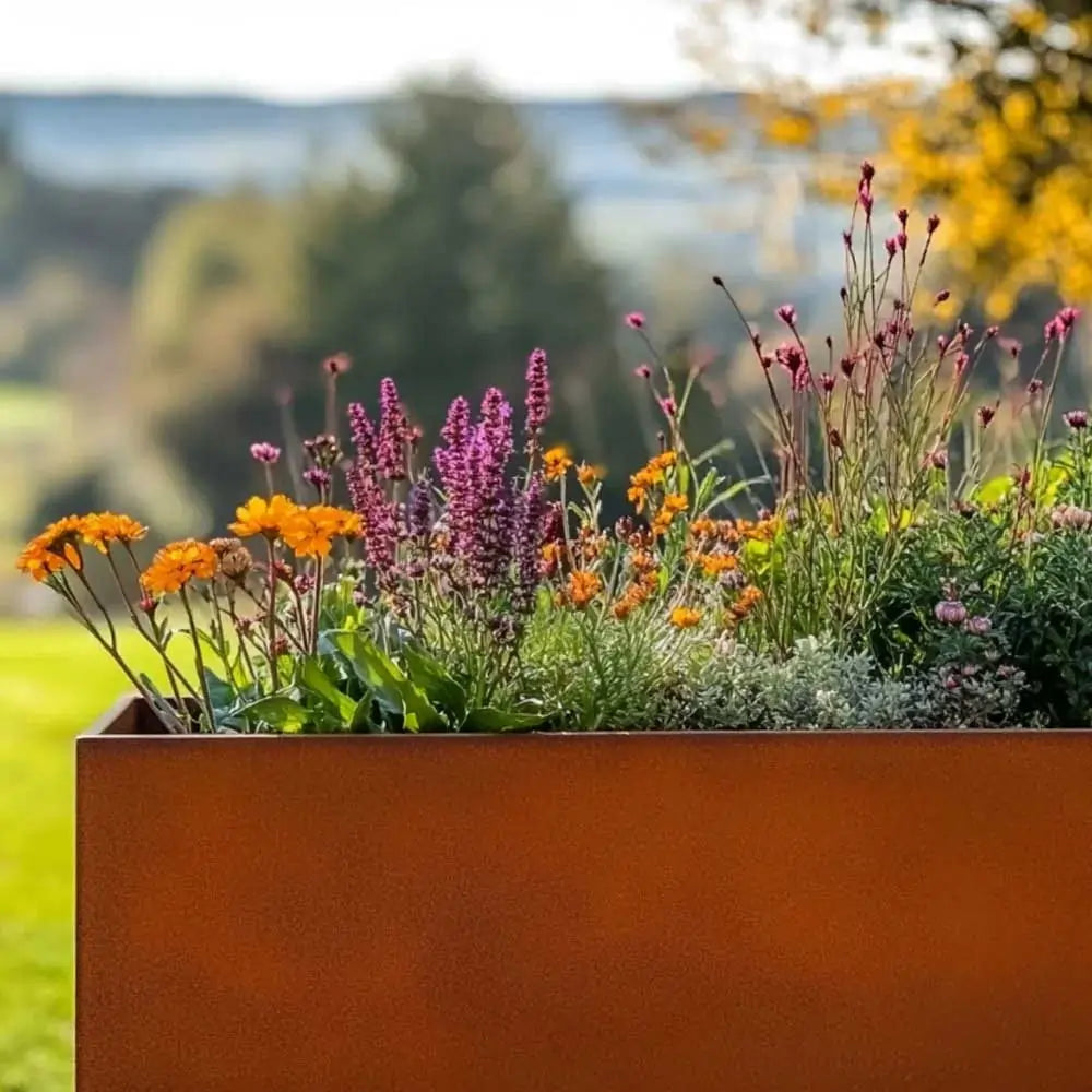 #200cm(L) x 50cm(W) x 50cm(H)
#With Liner
#No Liner