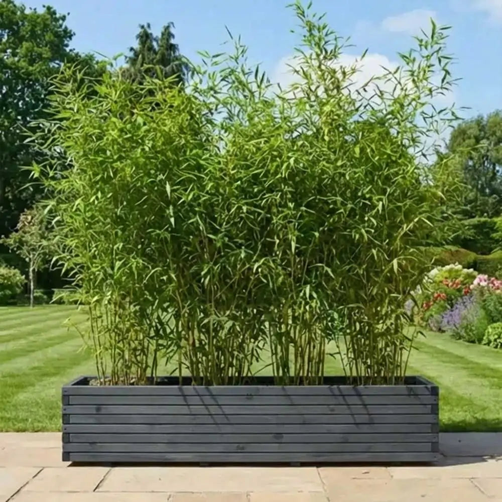 #grey
#300cm(L) x 40cm(W) x 40cm(H)
#200cm(L) x 40cm(W) x 40cm(H)
#With Liner
#No Liner