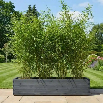 #grey
#300cm(L) x 40cm(W) x 40cm(H)
#200cm(L) x 40cm(W) x 40cm(H)
#With Liner
#No Liner