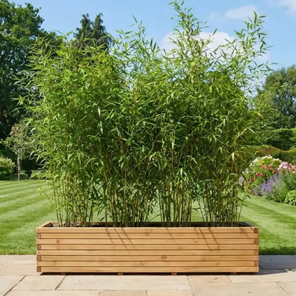 #natural
#300cm(L) x 40cm(W) x 40cm(H)
#200cm(L) x 40cm(W) x 40cm(H)
#With Liner
#No Liner