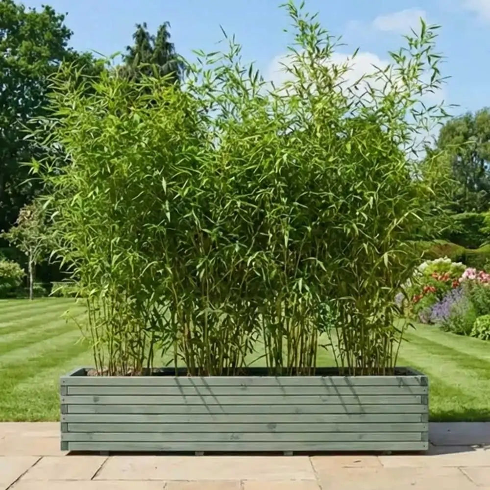 #green
#300cm(L) x 40cm(W) x 40cm(H)
#200cm(L) x 40cm(W) x 40cm(H)
#With Liner
#No Liner