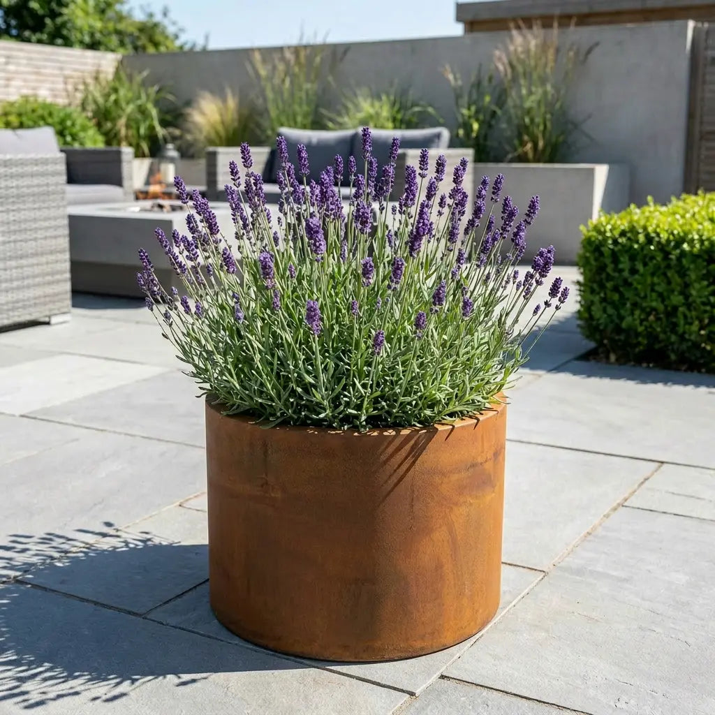 Pre Rusted Planters Pre-Rusted Corten Steel Round Short Cylinder Planter with Feet ...