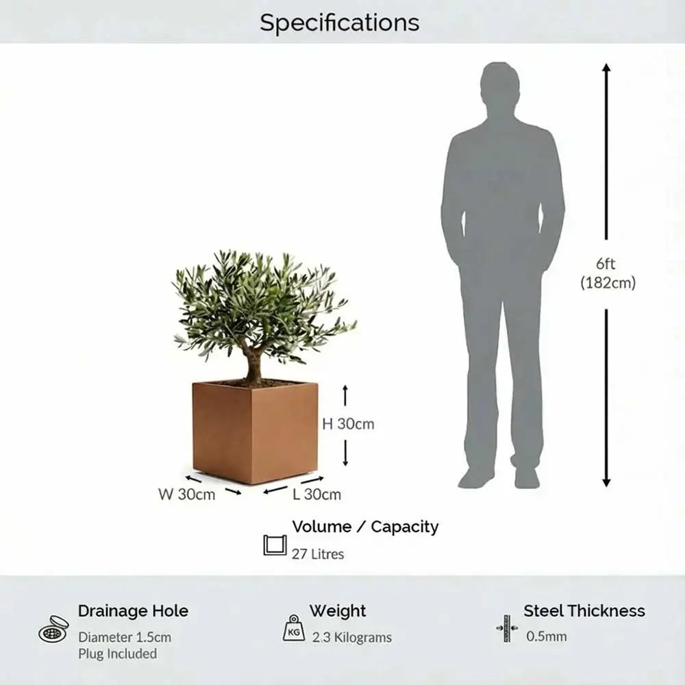 #30cm(L) x 30cm(W) x 30cm(H)
#Copper
#With Liner
#No Liner